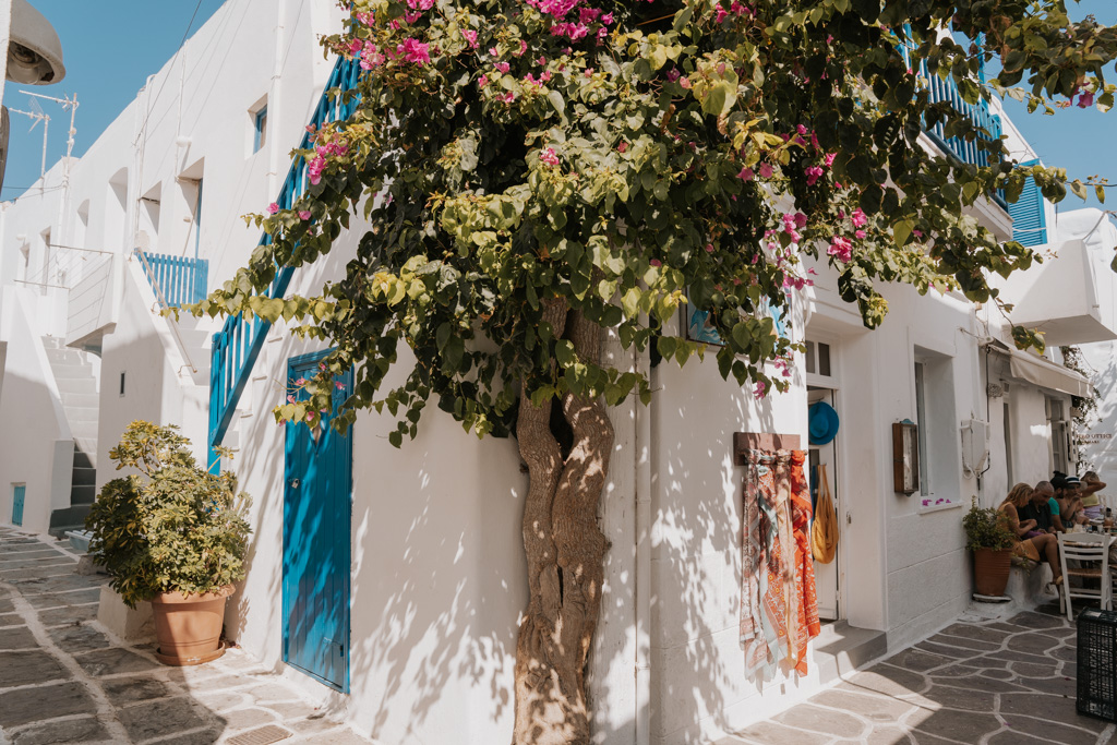 greece packages https://fcdn.antelope-travel.com/export/simg/NAOUSSA-TOWN.jpg